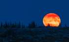Blue moon rising over the arctic tundra Art Print